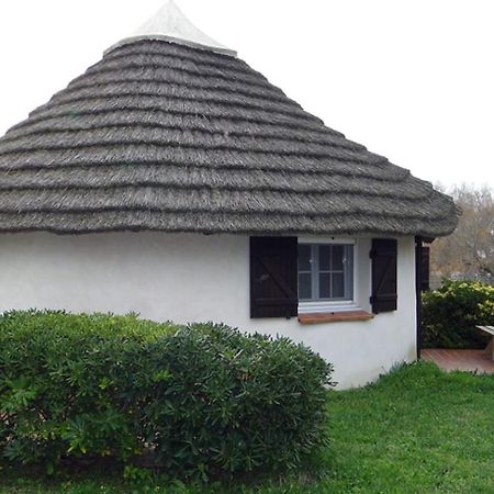 Hotel Du Pont Blanc Saintes-Maries-de-la-Mer Zewnętrze zdjęcie